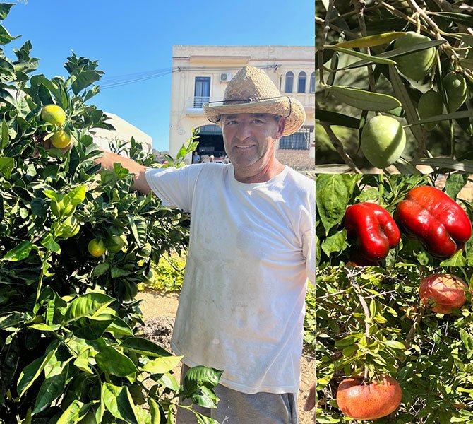 Because there is a great deal of power in the soil: Giovan Buttigieg and the autumn produce of Gozo.